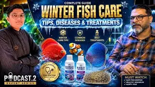 Winter Aquarium Fish Care Tips | Keep Your Fish Safe & Healthy in Cold Season | Podcast Ep.2 