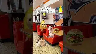 CAT MEMES 🐱You and your bro have a great business idea #catmemes #relatable #relationship