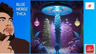 Blue Nerdz | JK Distro | THCA