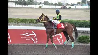 MAGNIFICENT CHRIS MAMDEEN BRINGS HOME SOLID APPROACH IN NIGHTCAP