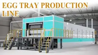 Automatic Egg Tray Production Line | Eco-friendly Paper Pulp Molding Machine for 1000&ndash;7000pcs/h