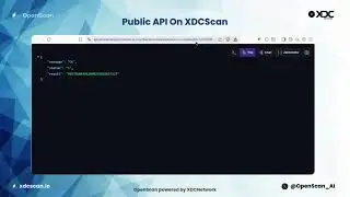 Access public api on Openscan powered by XDC Network
