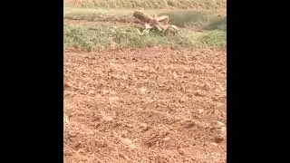 n. p. Properties  6 acre 20 gunte pure red soil 32 lakhs per acre 6360446978 general property