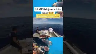 INSANE SWORDFISH ALMOST KILLS FISHERMAN 😲😲