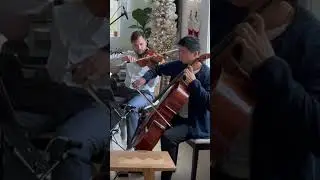 Carol of the Bells, but on string quartet 🔔✨