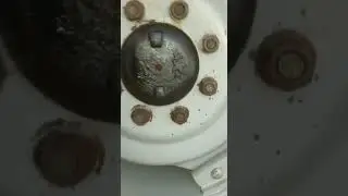 2007 . . . 385 . . . 03001290125