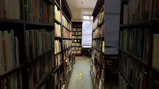 Discover Dark Academia at Linen Hall Library | Belfast | Northern Ireland