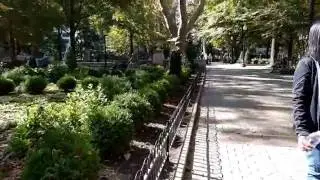 Google Pixel XL video stabilization demo at 1080p/30fps (Liliputing)