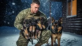 A Navy SEAL and His Dog Uncovered a Quiet Crime No One Was Supposed to See