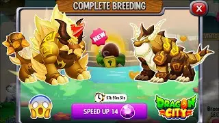 NEW BREEDING: High Terra Dragon & Double Terra Dragon | DRAGON CITY 2025 😍
