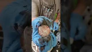 down.pouring.art