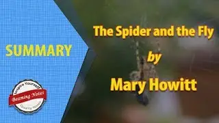 The Spider and the Fly Summary by Mary Howitt | Poem Summary | Beaming Notes