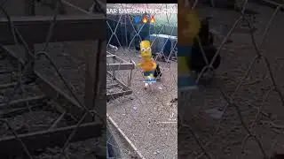 bart Simpson en el campo 🗣️🗣️🔥🔥 #memes #meme #shorts #shortvideo