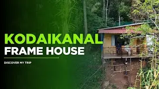 Frame House Stay🤩| Kodaikanal❤️| Adventure Stay🔥| Budget Friendly #kodaikanal #stay #budgetfriendly