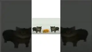 this is a. sandwich