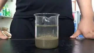Cationic polyacrylamidem, Anionic polyacrylamide