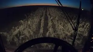 Harvest at NIGHT