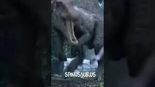 TEROPOD DINOSAURS SOME EXAMPLES 🦕🦖🦎 |😲😲THEY WILL  FIGHT EACH OTHER WHEN THEY MET.#sceince#dinosaurs