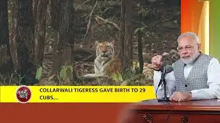 India&rsquo;s love for nature and animals is appreciated worldwide: PM Modi