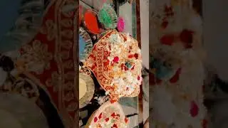 fulo ki holi#status YouTube #2023 #shortsvideo