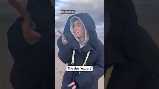 The dog &lsquo;expert&rsquo;