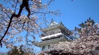 Springtime in Japan!!