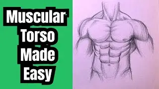 How to Draw a Muscular Torso | Step By Step Sketch Tutorial | How to Draw a Body