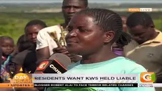 Elephants invade farms in Kwale