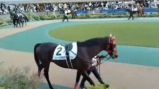 数年ぶりの東京競馬場🏇行ってきました🐴2025.11.29 途中2箇所縦画面(カメラ向き)になってまして本当にすみません🙇ドラマ📺️ 佐藤浩市 妻夫木聡 思い出しました🤣#中央競馬#東京競馬場#馬券 