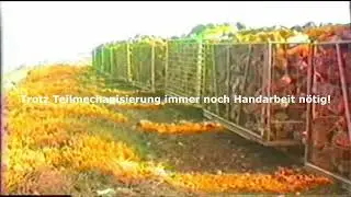 Fahrt durch das Hahnenmoor
