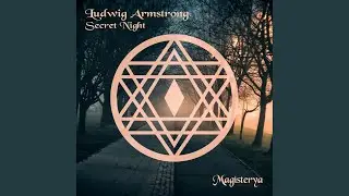 Secret Night (Original Mix)
