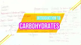 Introduction To Carbohydrates Part II (Urdu/Hindi/English)