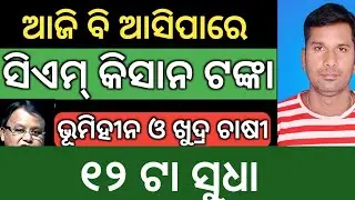 ଆଜି ପୁଣି ଟଙ୍କା ଆସିପାରେ ✅ ଆଜି ନ ଆସିଲେ ଆଉ ଆସିବନି❌ CM KISAN Not received  money cm Kisan yojana update 
