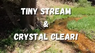 BEAUTIFUL Golden Trout & Kern River Rainbows! Nymphing a TINY Stream