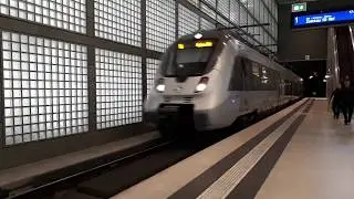 Hamster unter der Leipziger Innenstadt
