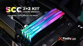Looking for the perfect RGB memory solution for your 4-DIMM motherboard? 💡✨