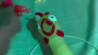 Sock Puppet Get Rubber Chicken