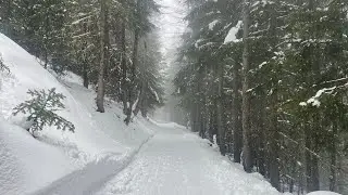 (TO) La Decauville di Rochemolles - Percorso ciaspole - 2024-02 - 🥾1🐕❄️