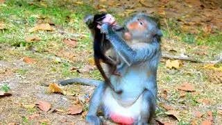BAD DAY JAYDEN ! Never seen mom JADE doing this | JADE torturing JAYDEN so hard & weaning milk