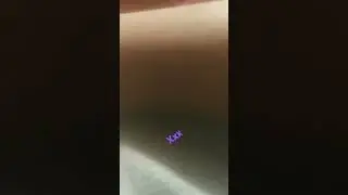 new xxx video 2023