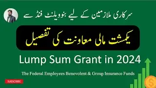 Lump Sum Grant for Govt Employees in 2024 || Federal Employees Benevolent & Group Insurance Funds