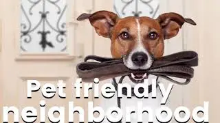 3 Tips for Buying a Pet Friendly Home
