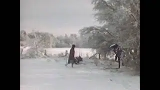 Heimische Tierwelt im Winter - Theo Kubiak (1974)