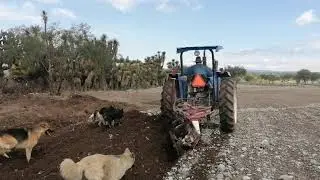Barbecho con la newholland 5610