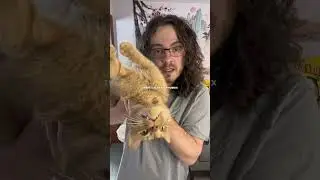 I thought my cat was dirty&hellip; Turns out he&rsquo;s genetically cursed