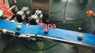 Testing video for the automatic P160 stuffed maamoul cookies maker machine
