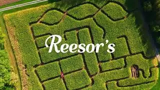 Fall Family Fun | Inside the Reesor&rsquo;s Farm Market Corn Maze