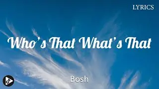 Niko B - Who's That What's That (Lyrics)