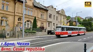 Красивый город Брно в Чехии, прогулка по улице и парку, июнь 2019 Brno, Česk&aacute; republika
