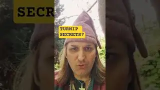 🔥 TURNIP Stories REVEALED 🌟: Discover the Fairytales That Will Leave You AMAZED! 😲 #FairytaleMagic